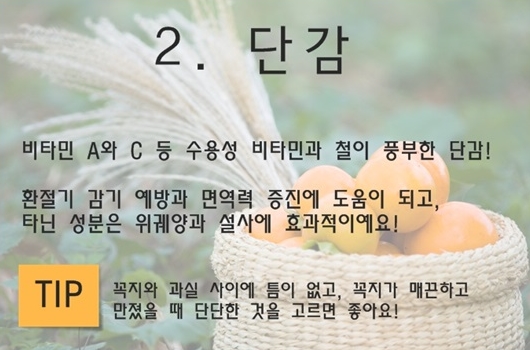 단감의 효능