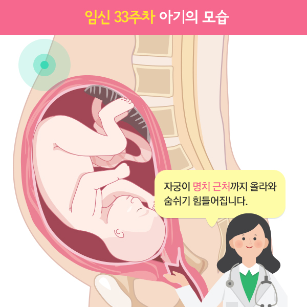 임신33주차아기모습