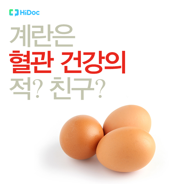 계란은 혈관건강의 적? 친구? 1