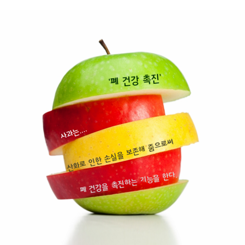 사과의 폐건강 촉진 기능