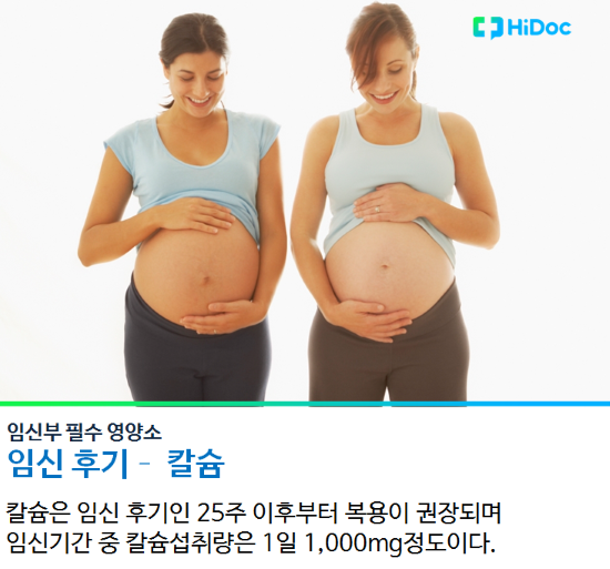 임신부 필수 영양소 - 칼슘