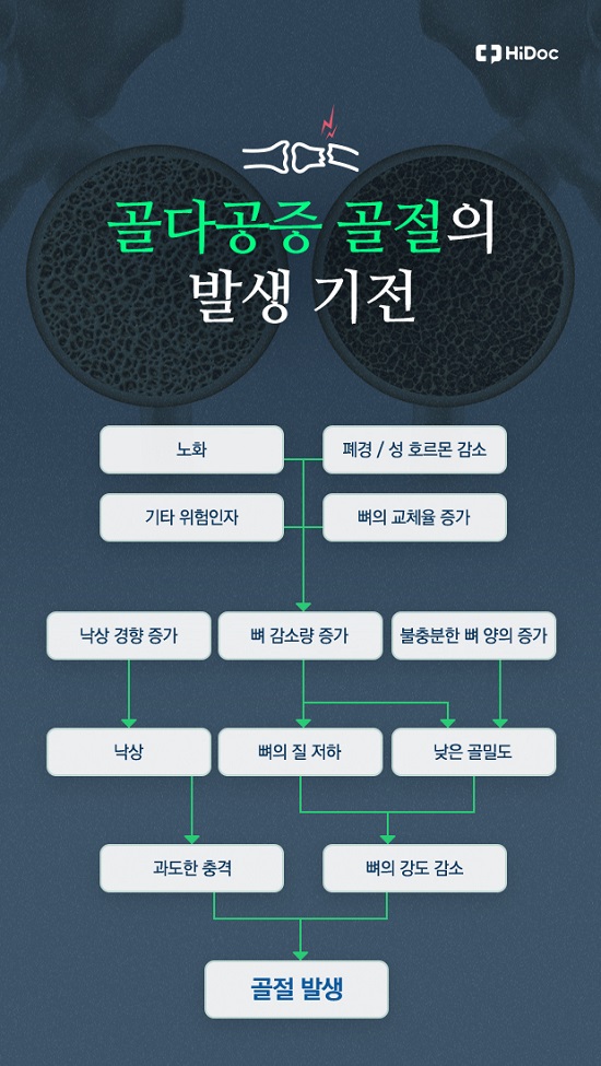 골다공증의 발생기전