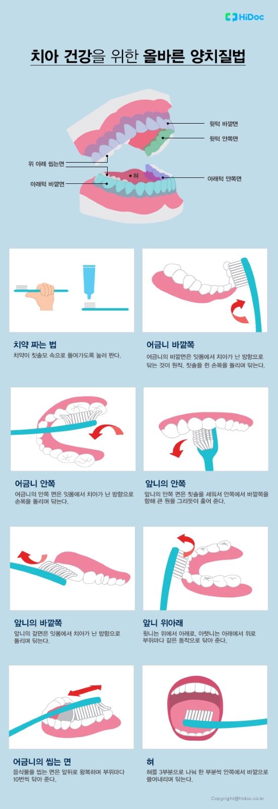 치아 건강을 위한 올바른 양치질법