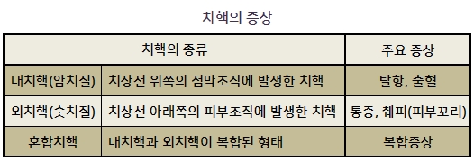 치핵의 증상