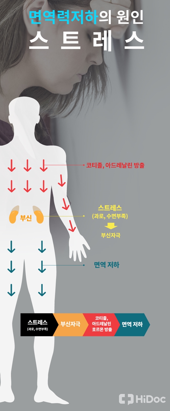 면역력 저하를 부르는 스트레스 