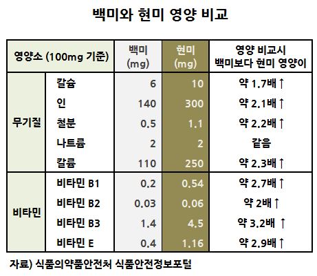 백미와 현미의 영양비교