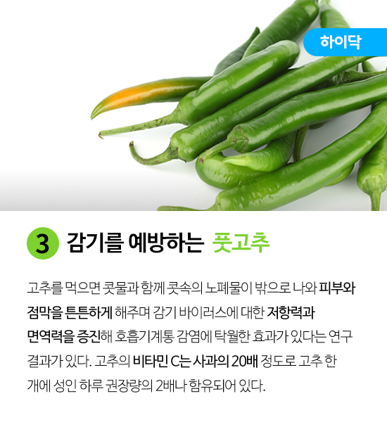 감기에 좋은 음식_풋고추