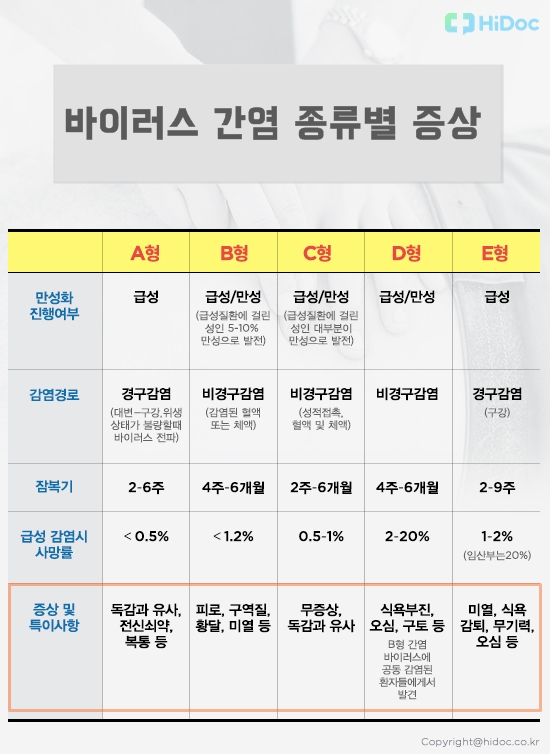 간염의 종류와 증상