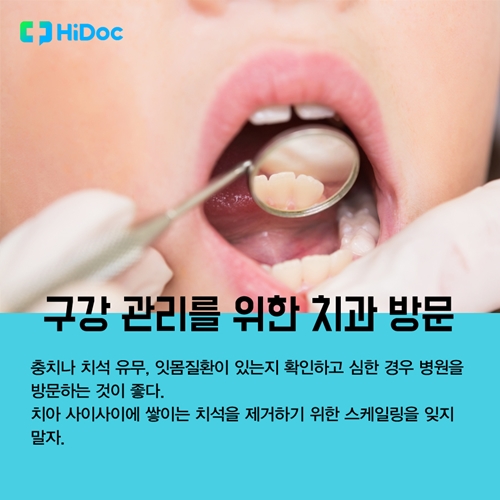 구취 예방법