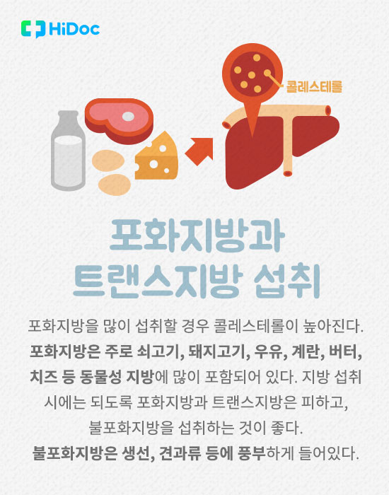 콜레스테롤 수치 높이는 생활 속 원인 7가지