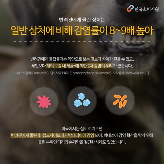 개물림 사고 현황 및 예방 (한국소비자원)