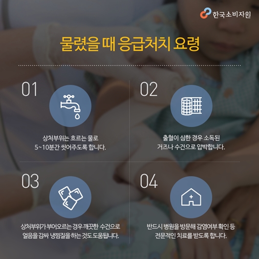 개물림 사고 현황 및 예방 (한국소비자원)