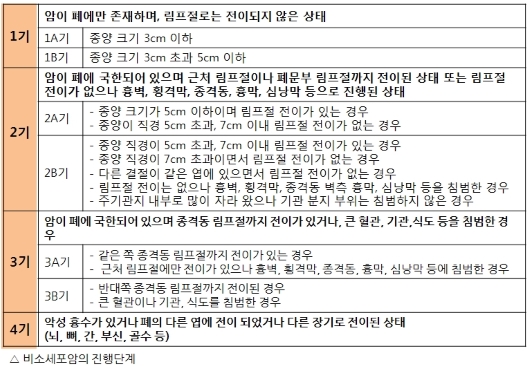 비소세포암의 진행단계