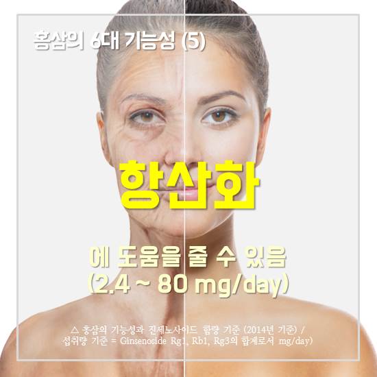 5) �׻�ȭ�� ������ �� �� ����