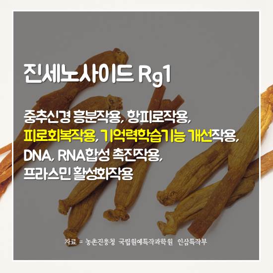 ��������̵� Rg1