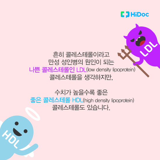 좋은 콜레스테롤 HDL 수치 높이는 방법 7