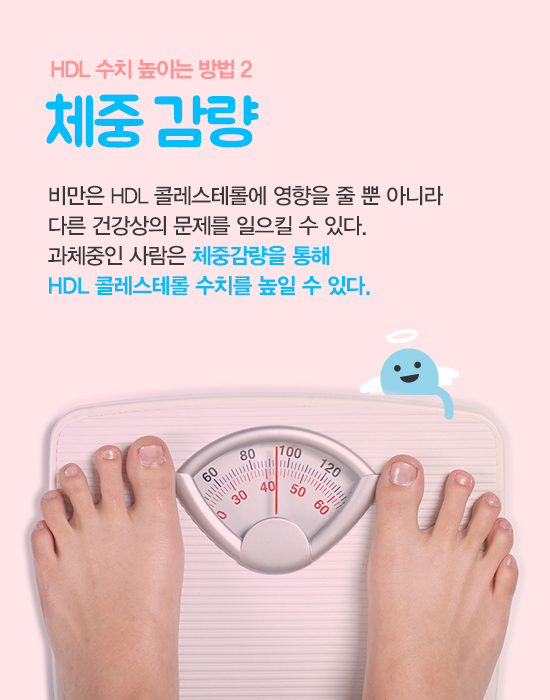 좋은 콜레스테롤 hdl 수치 높이는 방법 7