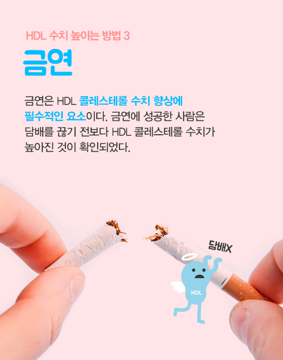 좋은 콜레스테롤 hdl 수치 높이는 방법 7