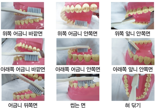 이 닦는 방법_보건복지부, 한국건강증개발원 ‘임산부 구강관리