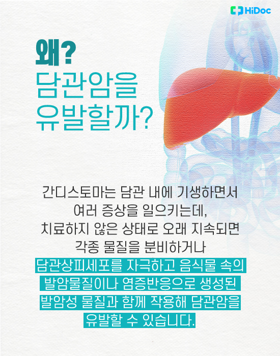 담관암 일으키는 ‘간디스토마’ 기생충 예방과 치료법