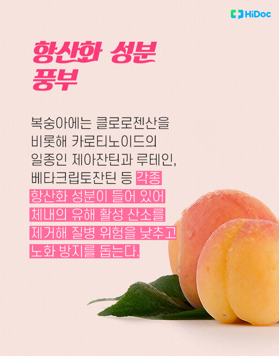 복숭아의 항산화 성분