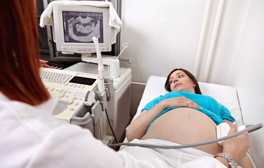 임신 초음파검사