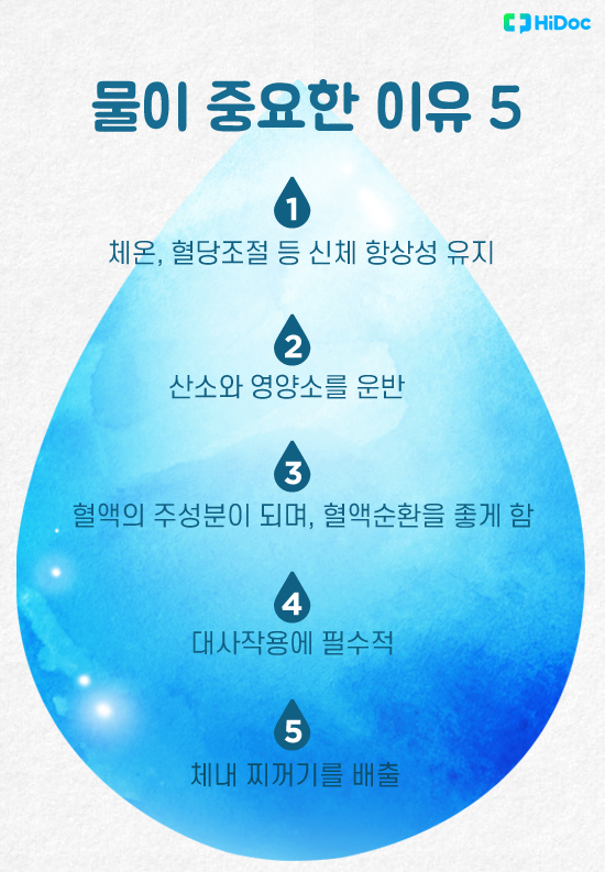 물이 중요한 이유 5