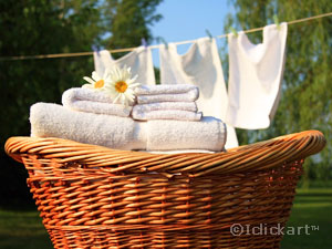 습기및곰팡이관리로깨끗한세탁물