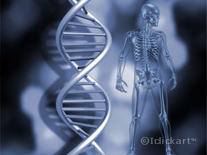 인체모형과DNA유전자를암호화해묘사한구부러진모형도