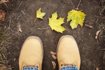 신발 옆에 떨어진 낙엽