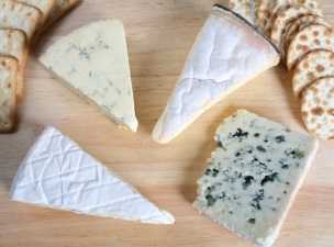 여러 가지 종류의 치즈들