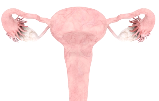 [1분 Q&A] 자궁이 건강해지는 방법은?