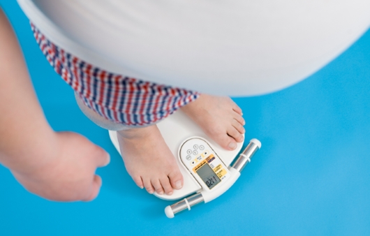 [알아두면 살 빠지는 다이어트 용어 ⑤] WHR(복부지방률)