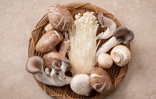 면역력 높이는 반찬, ‘새송이·느타리·표고버섯’ 효능과 요리법