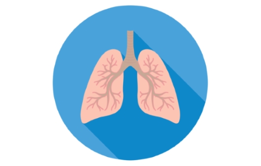 폐의 위치와 기능은? 폐암 종류 및 특징