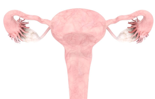 자궁근종의 한의학적인 원인과 치료법