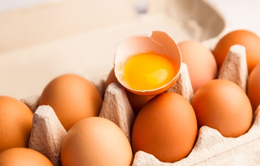 [1분 Q&A] 살충제 달걀이 소아에게 미치는 영향은?
