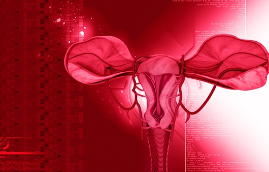 자궁경부 이형성증, 한의학적으로 치료할 수 있나요?