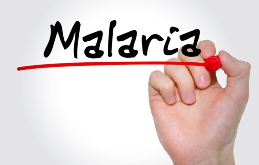 FDA, 새로운 재발형 말라리아 치료제 승인