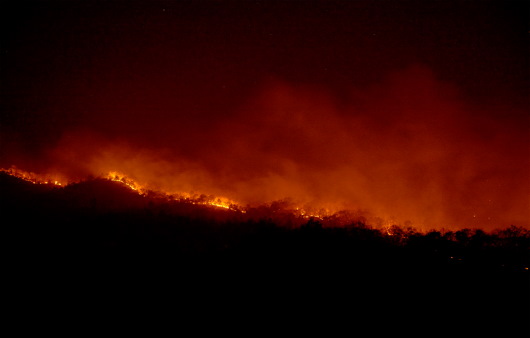 불타는 아마존