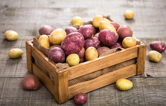 국산 감자 먹으면 젊어진다? 우수한 항산화 효과 확인돼