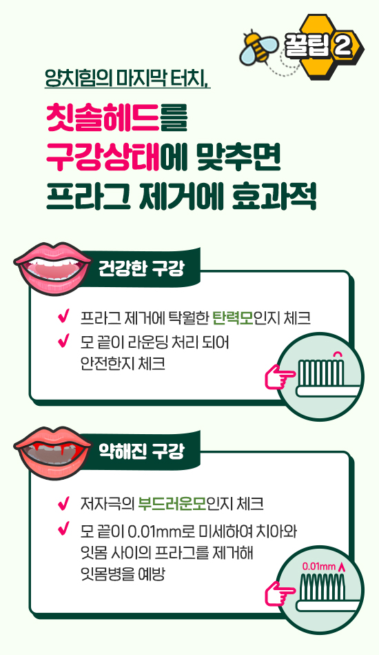 키스 에티켓 지키는 양치힘