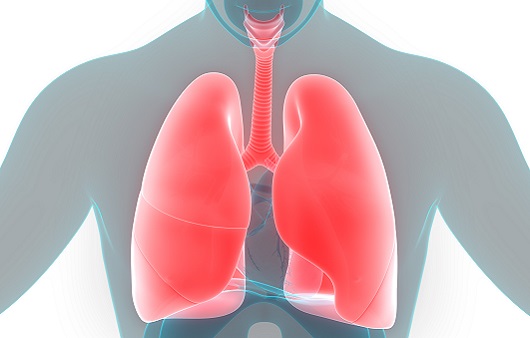 폐에 쌓인 독소를 정화하는 방법 8