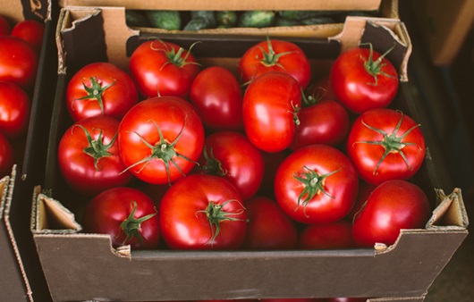 이번엔 ‘토케팅’, 여름 토마토 먹어야 하는 이유는?