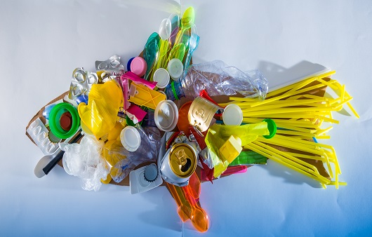 물고기 모양대로 모여져 있는 플라스틱들