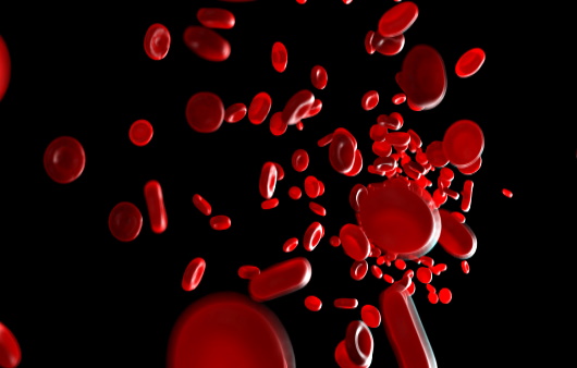 빈혈은 여성에게만 나타난다? 다양한 원인과 증상은? 