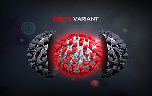 델타 변이 바이러스는 끊임없이 진화하며 새 변이 바이러스를 만들고 있다