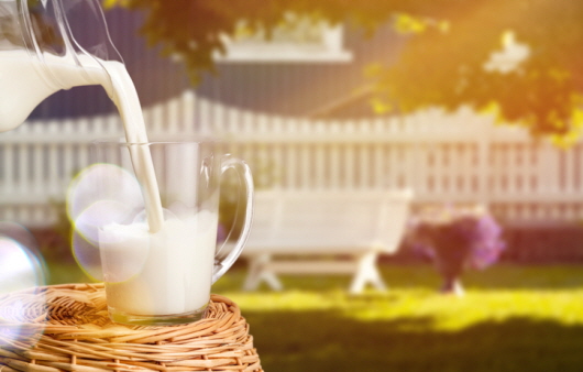 우유는 단백질과 칼슘 등을 비롯해 다양한 영양소가 풍부하게 들어있어 완전식품으로 불린다
