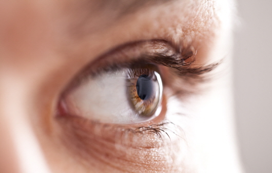 결막염과 포도막염은 모두 눈에 생기는 염증 질환이지만 증상과 치료 방법은 다르다