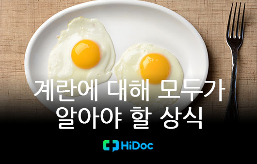[카드뉴스] 계란에 대해 모두가 알아야 할 상식